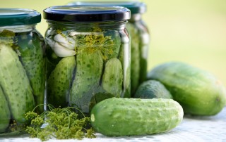 Les aliments fermentés